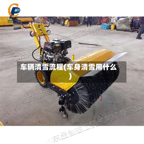 车辆清雪流程(车身清雪用什么)