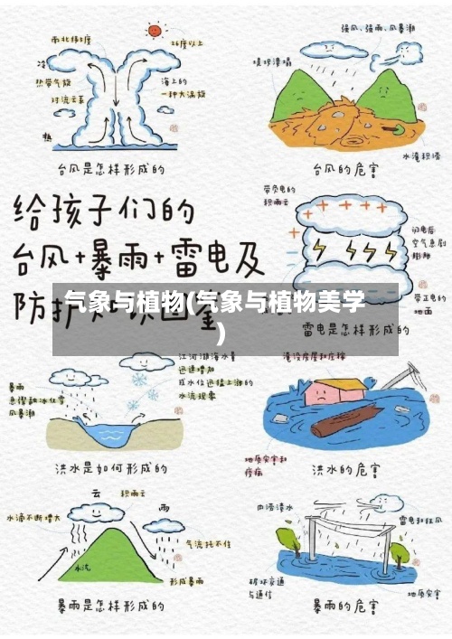 气象与植物(气象与植物美学)-第2张图片
