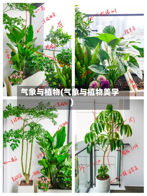 气象与植物(气象与植物美学)-第3张图片