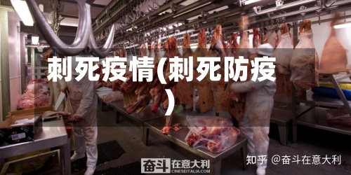 刺死疫情(刺死防疫)-第3张图片
