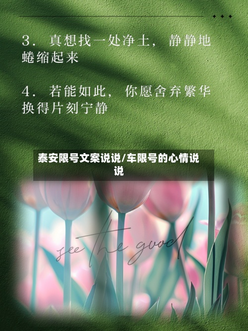 泰安限号文案说说/车限号的心情说说-第3张图片