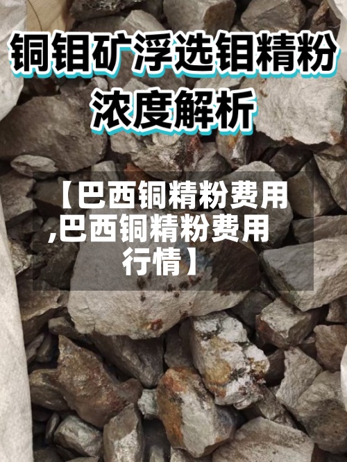 【巴西铜精粉费用
,巴西铜精粉费用
行情】