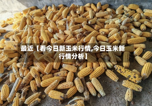 最近【看今日新玉米行情,今日玉米新行情分析】