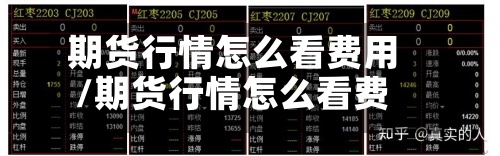 期货行情怎么看费用
/期货行情怎么看费用
表-第3张图片