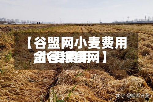 【谷盟网小麦费用
,小麦费用
金谷粮食网】