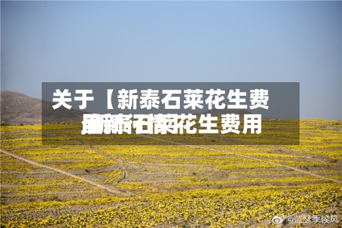 关于【新泰石莱花生费用
,新泰石莱花生费用
最新行情】