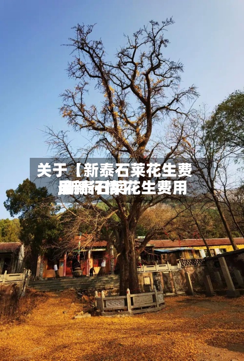 关于【新泰石莱花生费用
,新泰石莱花生费用
最新行情】-第2张图片