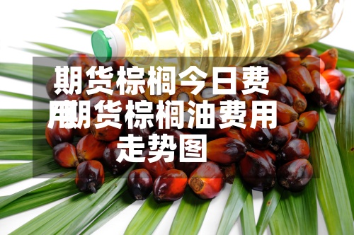 期货棕榈今日费用
/期货棕榈油费用
走势图-第2张图片