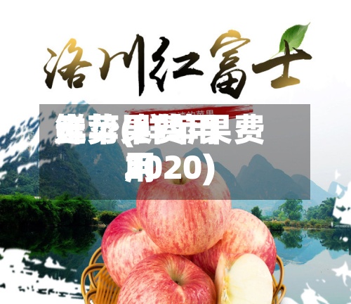 鲜苹果费用走势(鲜苹果费用2020)