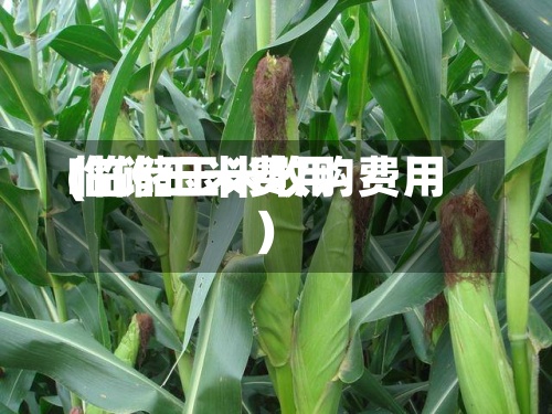 临储玉米费用
(临储玉米收购费用
)-第2张图片