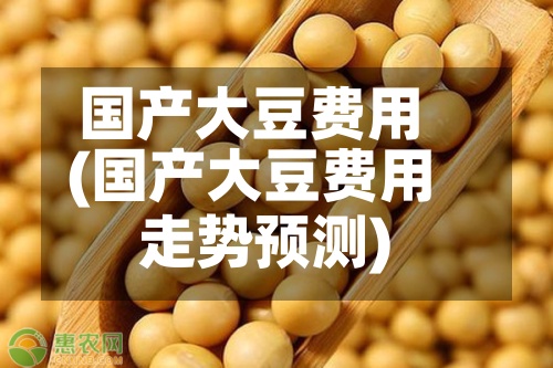 国产大豆费用(国产大豆费用走势预测)-第2张图片