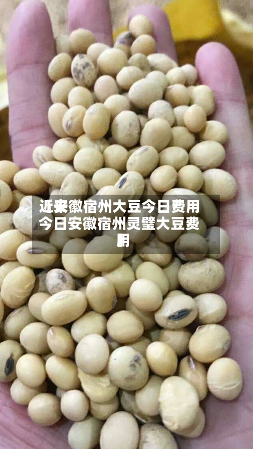 近来
【安徽宿州大豆今日费用
今日安徽宿州灵璧大豆费用
】