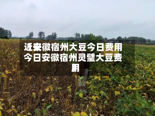 近来
【安徽宿州大豆今日费用
今日安徽宿州灵璧大豆费用
】-第2张图片