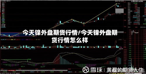 今天镍外盘期货行情/今天镍外盘期货行情怎么样-第3张图片