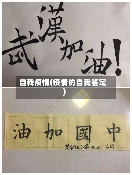 自我疫情(疫情的自我鉴定)-第2张图片