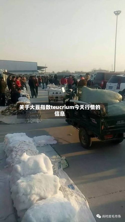关于大豆指数teucrium今天行情的信息