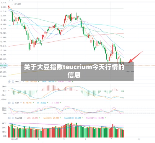 关于大豆指数teucrium今天行情的信息-第2张图片