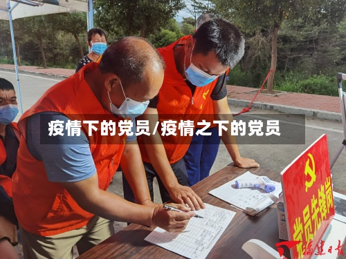 疫情下的党员/疫情之下的党员