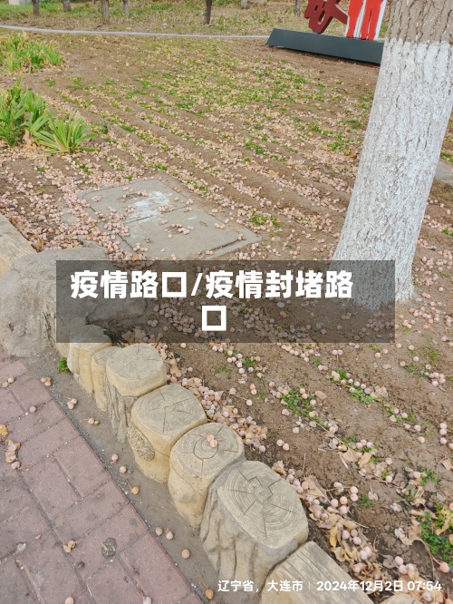 疫情路口/疫情封堵路口