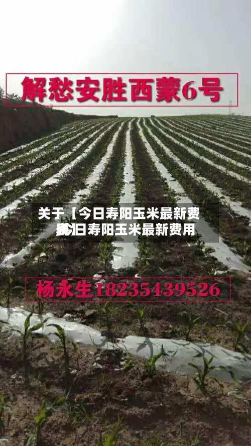 关于【今日寿阳玉米最新费用
,今日寿阳玉米最新费用
表】