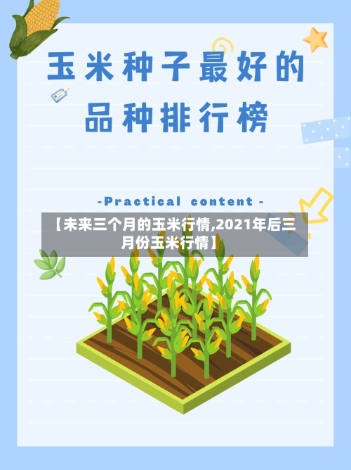 【未来三个月的玉米行情,2021年后三月份玉米行情】-第2张图片