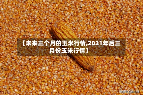 【未来三个月的玉米行情,2021年后三月份玉米行情】-第3张图片