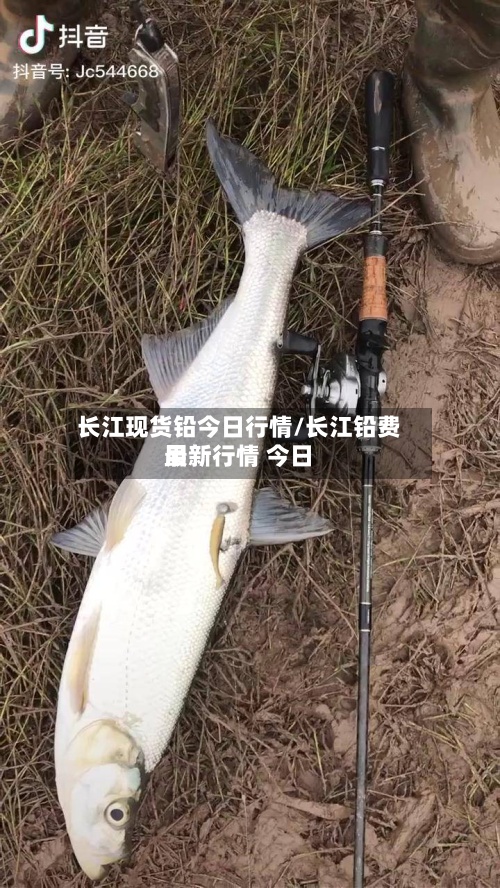 长江现货铅今日行情/长江铅费用最新行情 今日-第2张图片