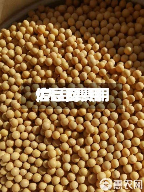 大豆二费用/大豆费用信息网