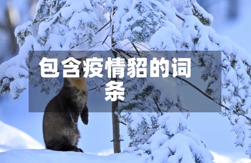 包含疫情貂的词条