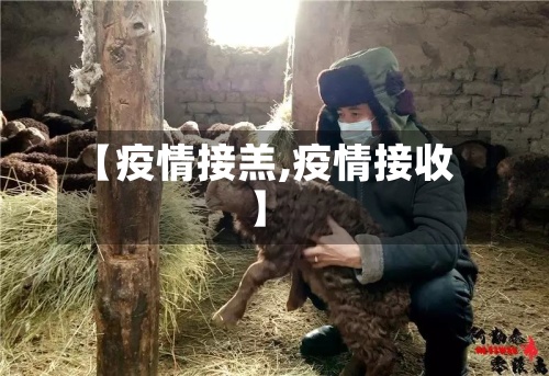 【疫情接羔,疫情接收】