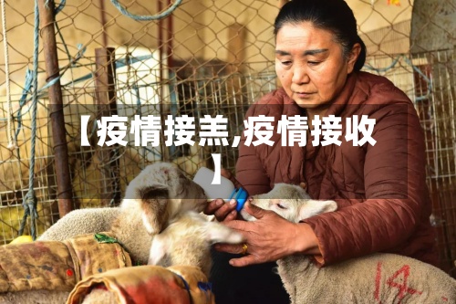 【疫情接羔,疫情接收】-第3张图片