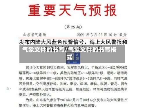 气象文件的书写/气象文件的书写格式
