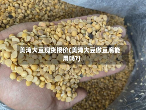 美湾大豆现货报价(美湾大豆做豆腐能用吗?)