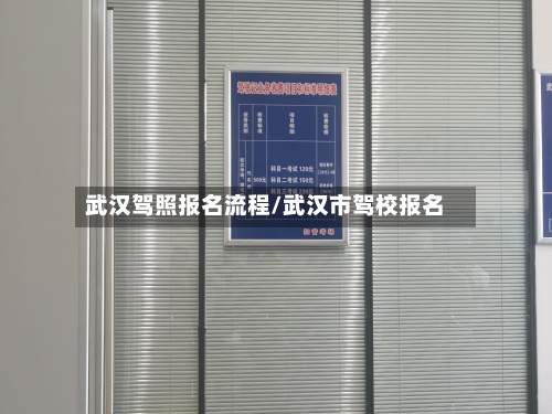 武汉驾照报名流程/武汉市驾校报名