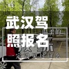 武汉驾照报名流程/武汉市驾校报名-第2张图片