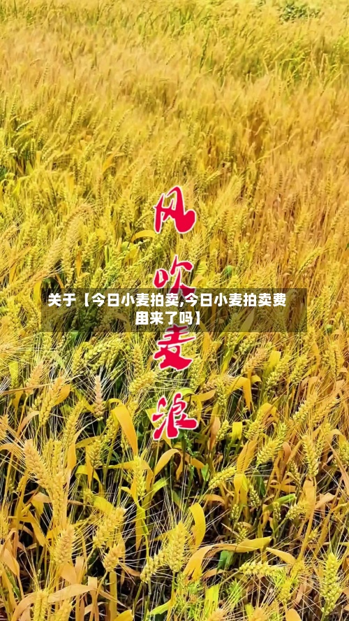 关于【今日小麦拍卖,今日小麦拍卖费用出来了吗】