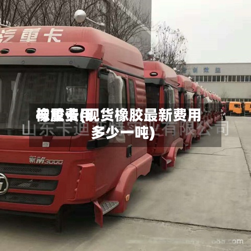 橡胶费用
与重卡(现货橡胶最新费用
多少一吨)