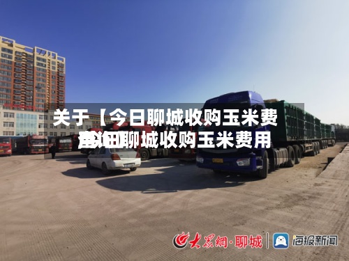 关于【今日聊城收购玉米费用
,今日聊城收购玉米费用
查询】
