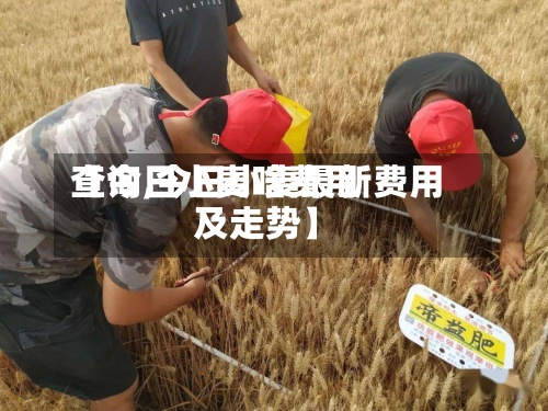 【今日小麦啥费用
查询,今日小麦最新费用
及走势】-第2张图片