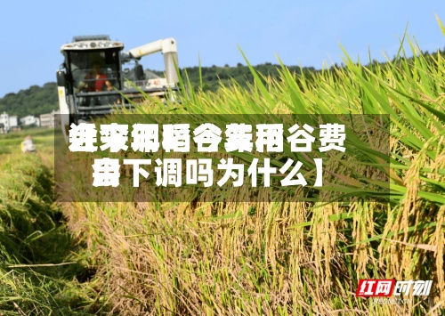 近来
【今年稻谷费用
会下调吗今年稻谷费用
会下调吗为什么】-第2张图片