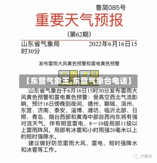 【东营气象王,东营气象台电话】