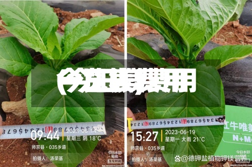 今日镁费用
(今日镁费用
一览表)-第3张图片