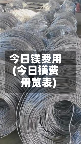 今日镁费用
(今日镁费用
一览表)-第2张图片