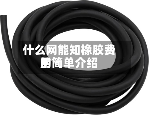 什么网能知橡胶费用
的简单介绍
