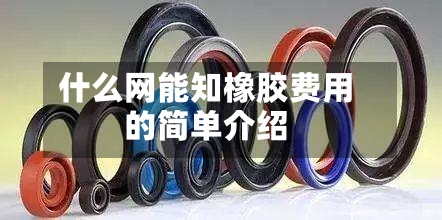 什么网能知橡胶费用的简单介绍-第2张图片