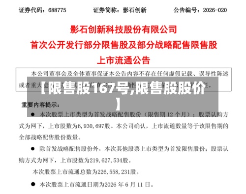【限售股167号,限售股股价】