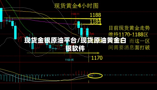 现货金银原油平台/现货原油黄金白银软件-第3张图片