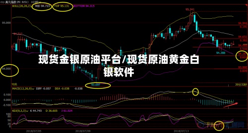 现货金银原油平台/现货原油黄金白银软件-第2张图片