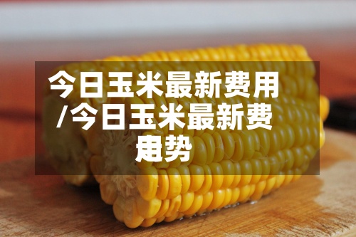 今日玉米最新费用
/今日玉米最新费用
走势
