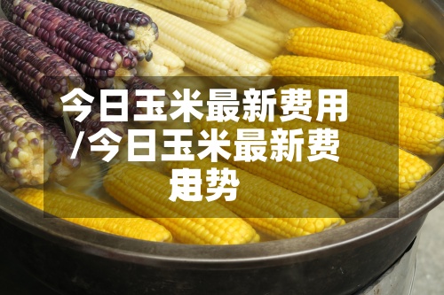 今日玉米最新费用
/今日玉米最新费用
走势-第2张图片